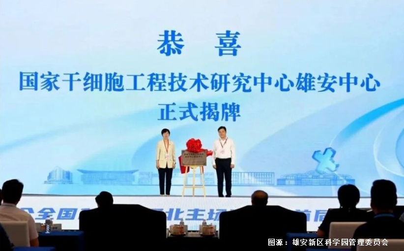 北戴河定规范,雄安建干细胞治疗平台:中国细胞治疗迎来战略闭环 2 20250924194743 68d3da5f886b8