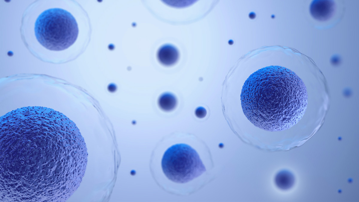 干细胞治疗严重肢体缺血:I期临床试验报告安全性与可行性 | 患者希望 2 干细胞治疗严重肢体缺血:I期临床试验报告安全性与可行性 | 患者希望