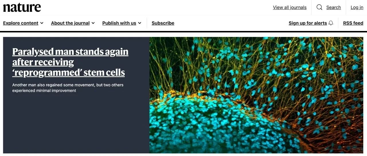 神经干细胞移植:瘫痪、老年痴呆、帕金森病等神经系统疾病的新希望? 2 20250924201728 68d3e158054f9