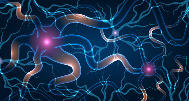 神经干细胞移植效果如何？2025最新临床进展与患者案例深度解析