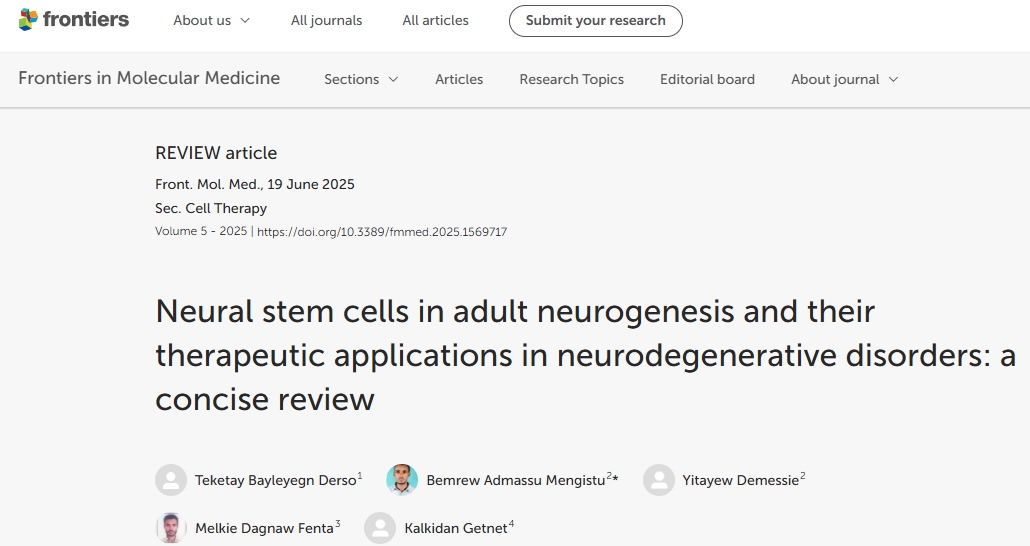 神经干细胞移植治疗神经退行性疾病：从成人神经再生的机制到临床转化潜力