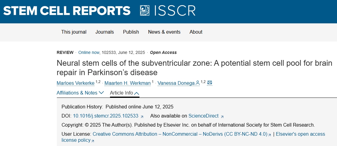 从静息到激活：回输干细胞促使靶向脑室下区的神经干细胞实现帕金森病原位神经再生
