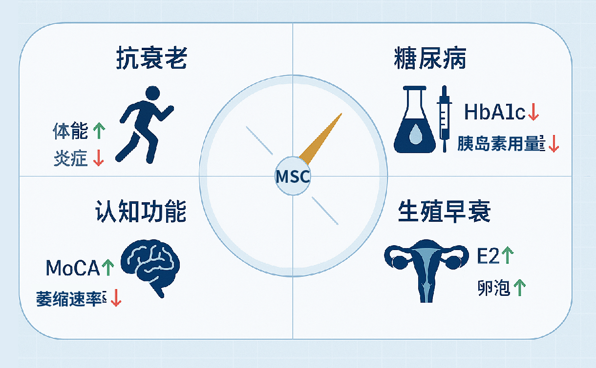 重塑系统|静脉输注间充质干细胞,让抗衰老与慢病管理进入新阶段 - 杭吉干细胞生命科技