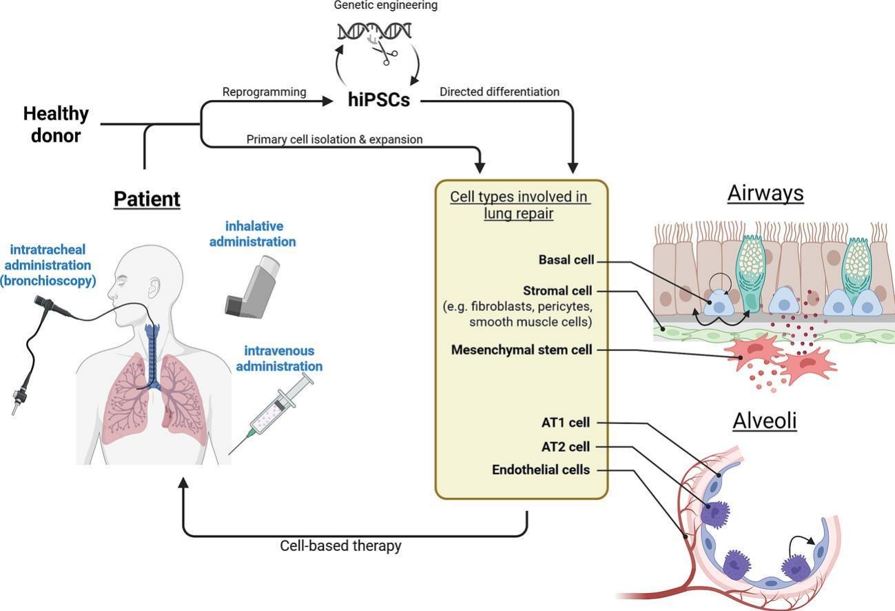 1 s2.0 S0169409X25001978 ga1 lrg