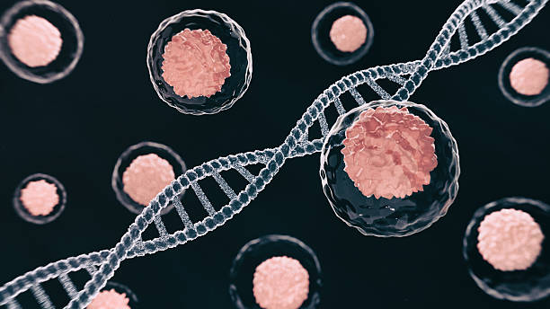 多能干细胞是什么？一篇文章读懂“万能细胞”的起源、能力与巨大潜力​