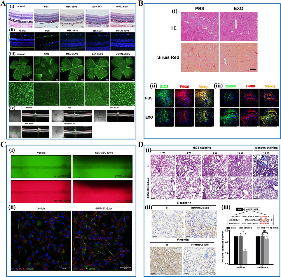 干细胞外泌体治疗效果揭秘:2025最新临床应用与研究进展 10 图8:干细胞外泌体在其他疾病治疗中的治疗应用