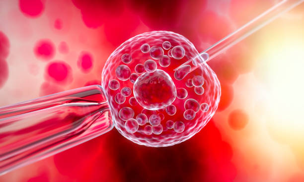 造血干细胞移植与间充质干细胞移植有何不同？一文看明白该如何选择