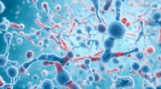 免疫细胞治疗是什么？它有哪些不同？一文了解其原理、优势与独特之处