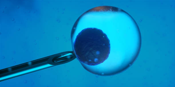 干细胞移植效果怎么样？2025最新临床数据与真实患者反馈