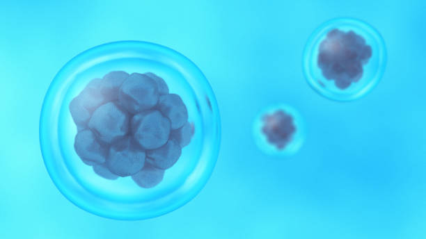 干细胞外泌体的4大作用功效解答：为什么它备受再生医学关注？