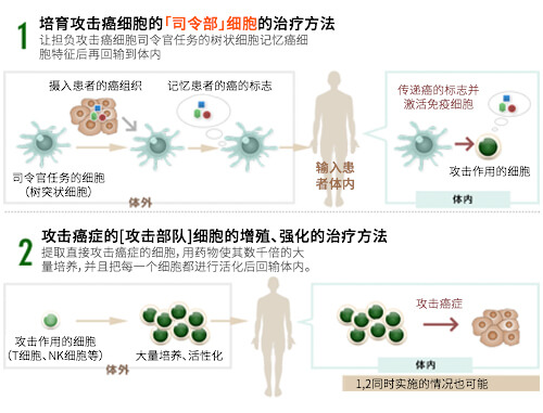 免疫细胞治疗主要可以分为以下2类