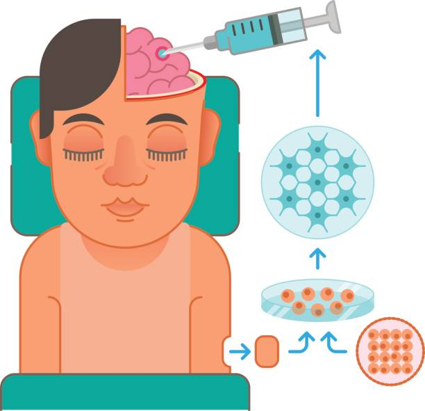 干细胞治疗全流程攻略：住院、耗时、体检及注意事项4大疑问一次搞懂！