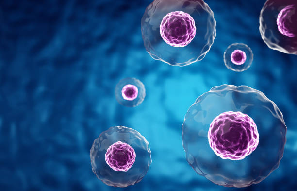 干细胞与干细胞外泌体有什么区别？机制、疗效与临床应用的全方面对比