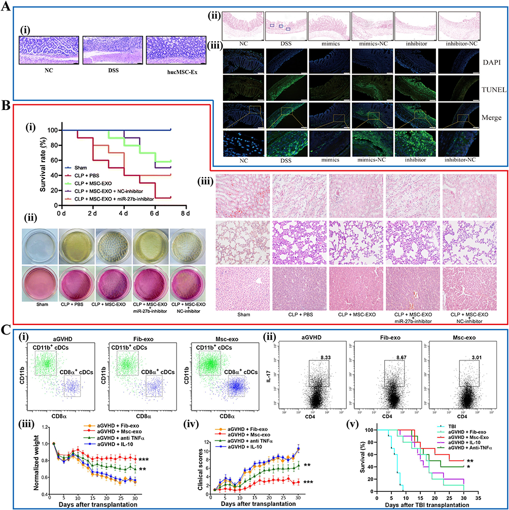 干细胞外泌体治疗效果揭秘:2025最新临床应用与研究进展 6 图4:干细胞外泌体在免疫调节和炎症相关疾病中的治疗应用