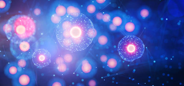 干细胞治疗与免疫细胞治疗有什么不同？一文读懂两大疗法的本质区别与应用