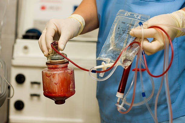 干细胞移植:原理、流程与在白血病治疗中的关键作用 2 干细胞移植的原理:重建生命的“造血工厂