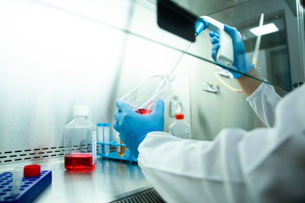 干细胞宣传日特稿:作为“活体药物”,它如何成为治疗疑难杂症的破局利器 1 干细胞成为“活体药物“