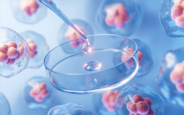 干细胞疗法能治疗哪些疾病？详解在糖尿病、骨关节炎中的突破