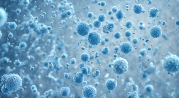 有关干细胞的百问百答（24问），建议收藏