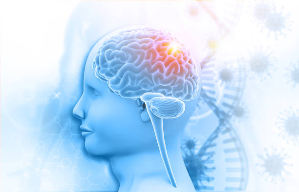 156例患者研究证实：间充质干细胞联合神经干细胞治疗脑梗死可双重改善神经功能与脑灌注