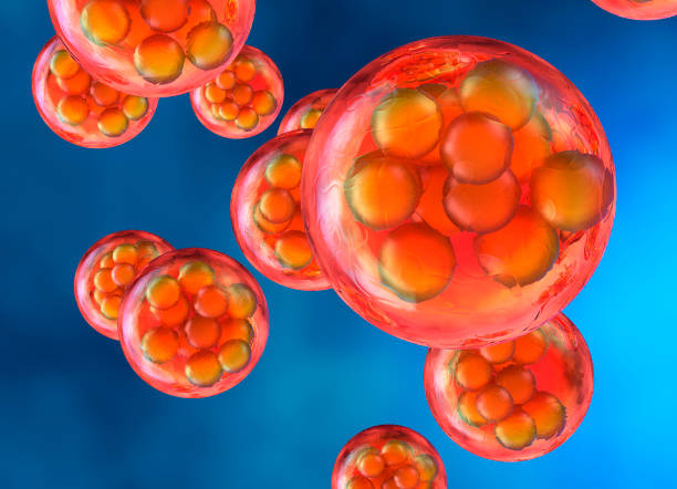 存储未来的希望：详解间充质干细胞储存流程、条件与适用人群指南