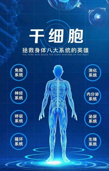 有关干细胞的百问百答(24问),建议收藏 3 wechat 2025 10 16 172604 559