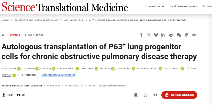 P63+肺祖细胞自体移植治疗慢性阻塞性肺疾病