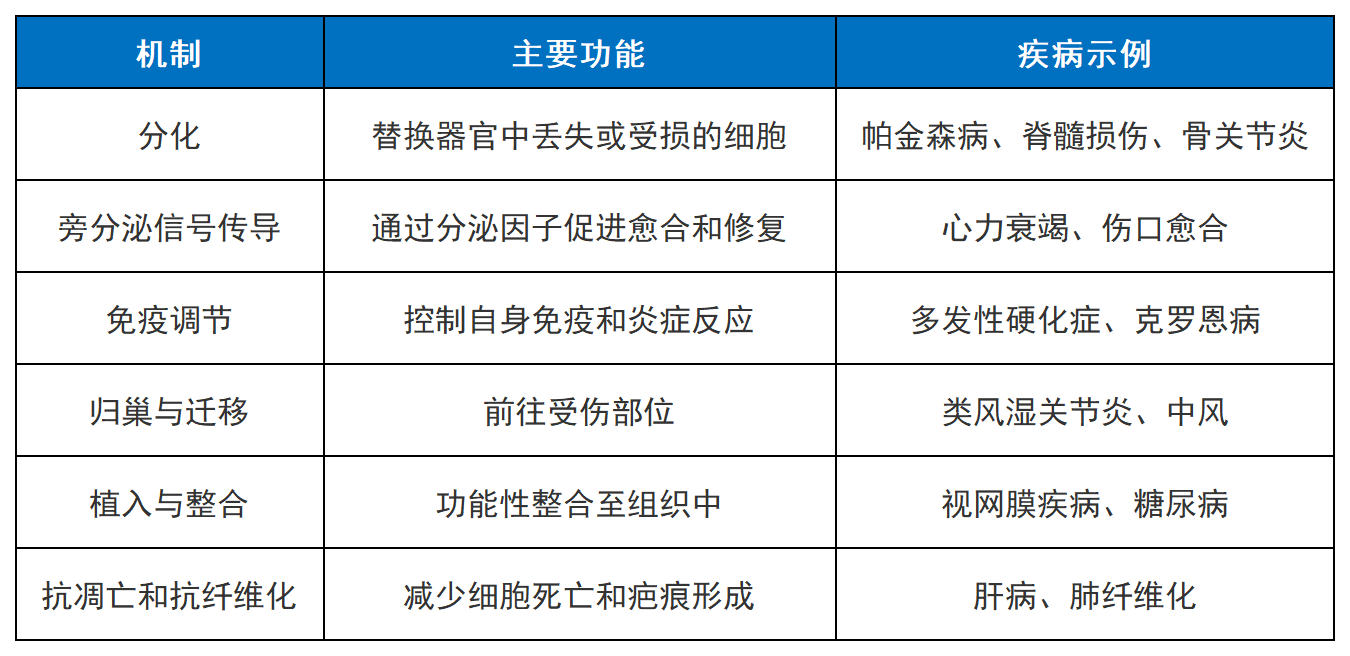 干细胞宣传日特稿:作为“活体药物”,它如何成为治疗疑难杂症的破局利器 3 工作簿1 Sheet124