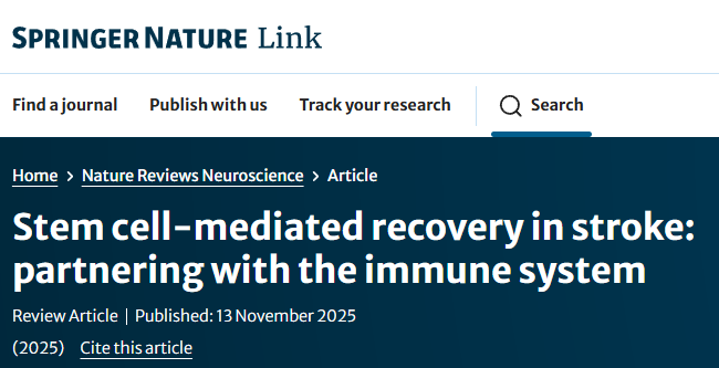 中风后康复新方法:干细胞作为“指挥官”调控微环境,免疫细胞作为“实干家”执行修复 1 中风后康复新方法:干细胞作为“指挥官”调控微环境,免疫细胞作为“实干家”执行修复