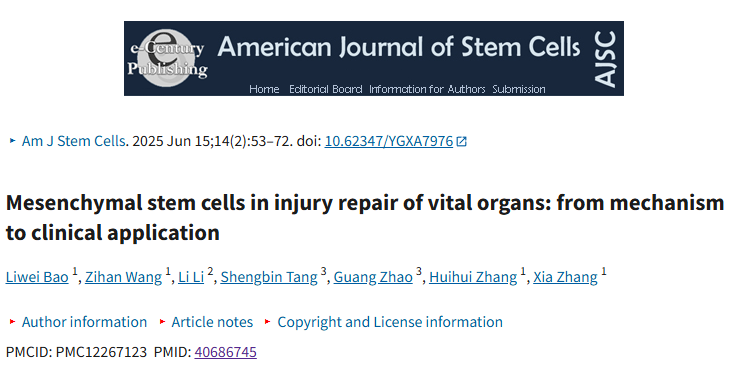 间充质干细胞修复5大重要器官损伤中的作用:从机制到临床应用 1 间充质干细胞修复5大重要器官损伤中的作用:从机制到临床应用