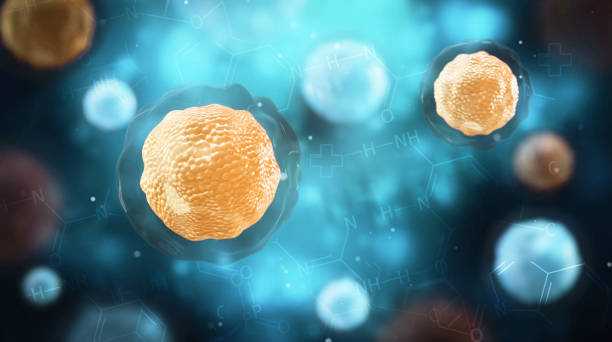 重新定义间充质干细胞疗法的命名：从“干细胞”到“基质细胞”