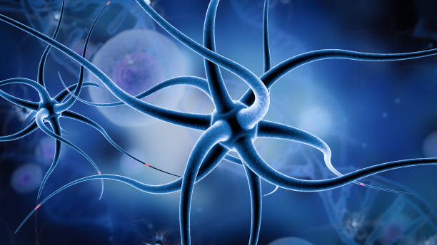 神经干细胞疗法:重塑神经系统健康的未来