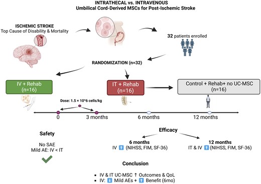 鞘内与静脉注射干细胞治疗中风后遗症:均能改善患者神经功能恢复和生活质量,但静脉注射安全性更优! 3 m szaf063f1