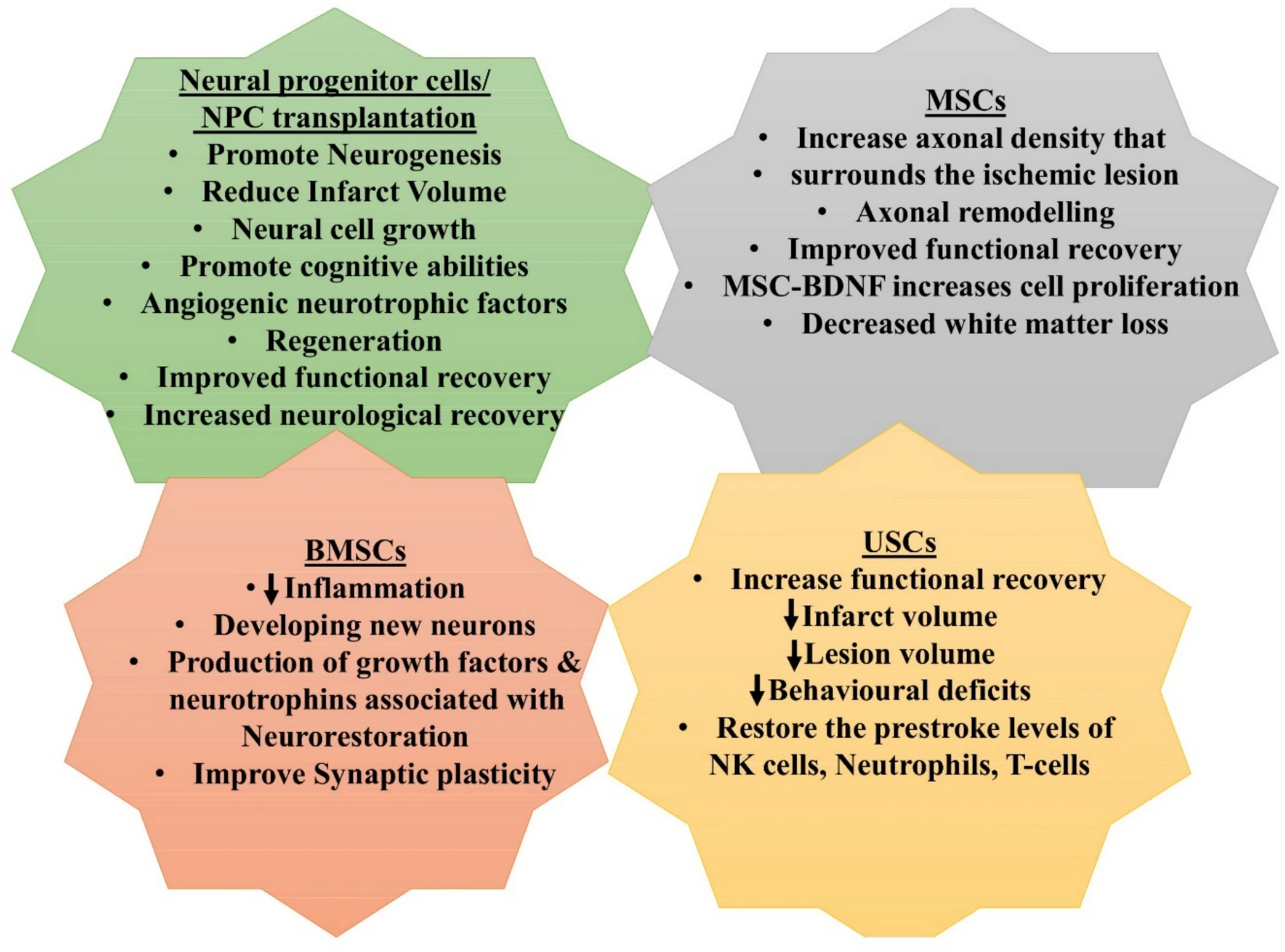 2025年干细胞治疗卒中的细胞递送方法、时机与临床进展 5 微信图片 2025 11 10 141906 749