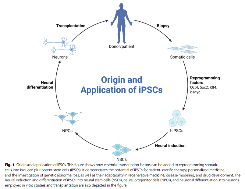 干细胞治疗进入“临床落地期”:12项疗法获批(含价格),三大赛道格局初定 3 微信图片 2025 11 11 153707 606