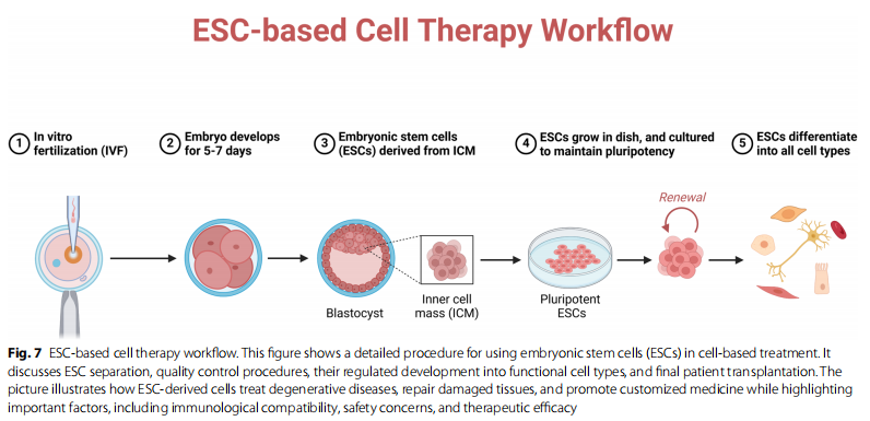 干细胞治疗进入“临床落地期”:12项疗法获批(含价格),三大赛道格局初定 5 微信图片 2025 11 11 153713 799