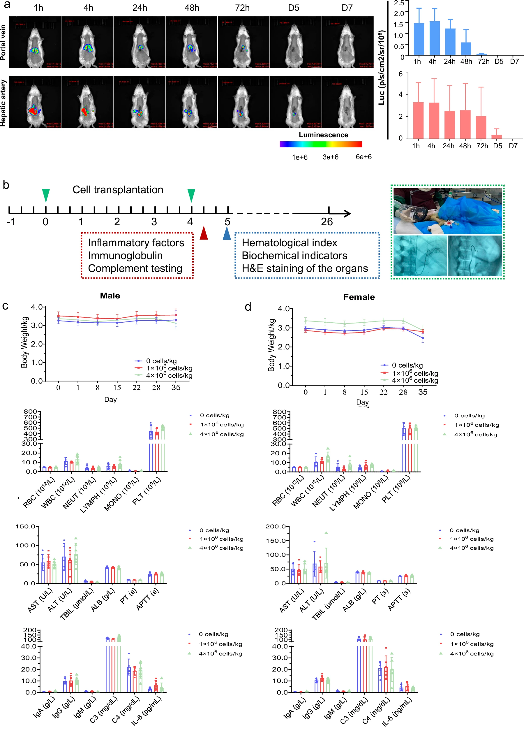 上海仁济医院:肝祖细胞治疗肝硬化6个月后,8例患者肝功能、凝血及纤维化指标显著改善 4 微信图片 2025 11 11 184406 041
