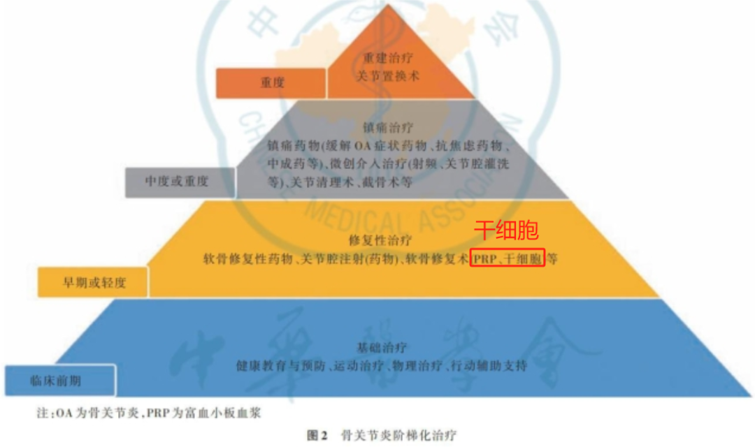 干细胞治疗膝骨关节炎再增一员:国家药监局又公示一项Ⅰ期临床试验 3 微信图片 2025 11 14 161448 069