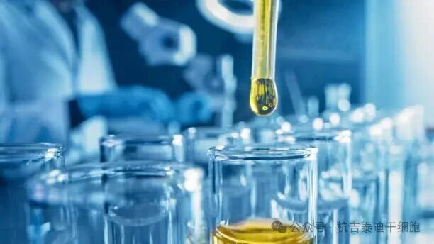 干细胞产业迎“十五五”,跃升为国家战略新支柱,新质生产力助力全民健康! 15 微信图片 2025 11 17 164325 214