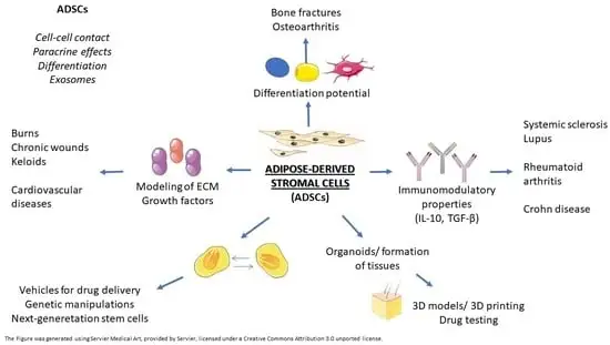 间充质干细胞修复5大重要器官损伤中的作用:从机制到临床应用 10 微信图片 2025 11 19 181303 886