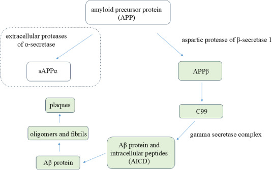 最新综述!间充质干细胞治疗阿尔茨海默病的潜在机制、临床应用以及潜在的解决方案 2 1 s2.0 S2352320425001609 gr1