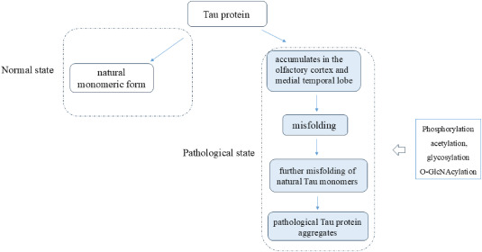 最新综述!间充质干细胞治疗阿尔茨海默病的潜在机制、临床应用以及潜在的解决方案 3 1 s2.0 S2352320425001609 gr2