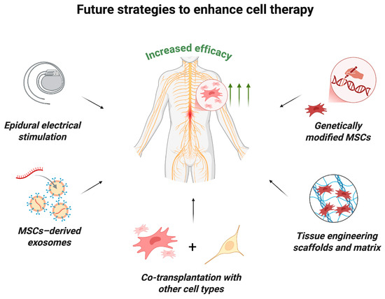 ijms 26 12139 g005 550