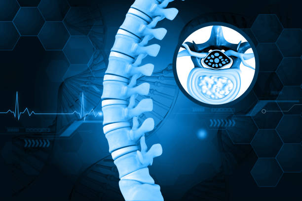 最新综述：2020-2025年间充质干细胞治疗脊髓损伤的临床应用的研究进展