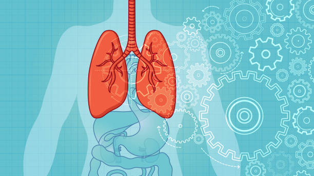 又有三款治疗慢性阻塞性肺病的新药获批：突破性（干细胞）疗法是否也指日可待？