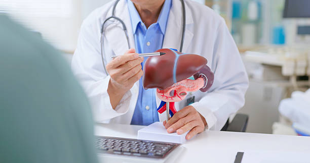 间充质干细胞治疗肝纤维化/肝硬化中的作用:从发病机制到临床应用