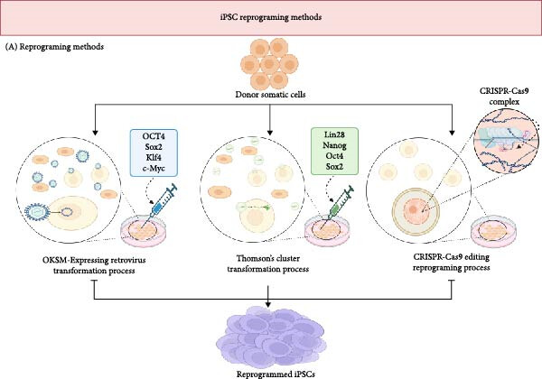 sci3734659 fig 0001 m