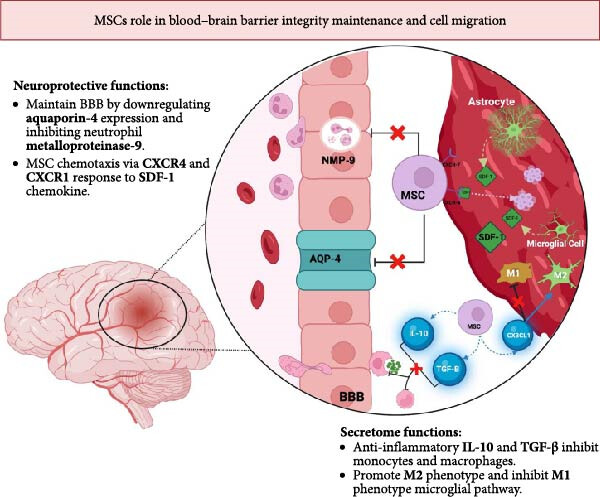 sci3734659 fig 0002 m