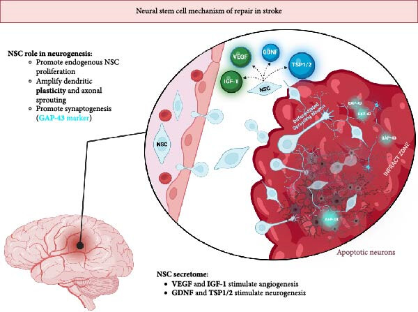 sci3734659 fig 0003 m