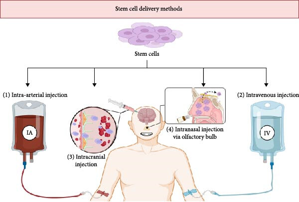 sci3734659 fig 0004 m
